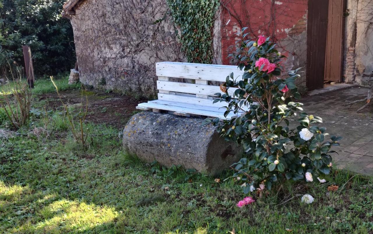 Relax & Sport Velletri Apartment Exterior photo